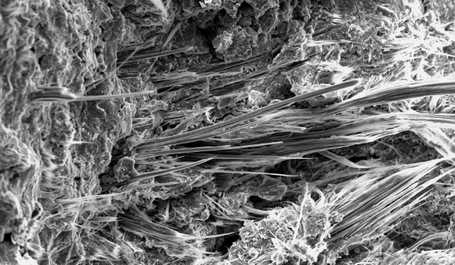 Asbest- und Faseranalytik
