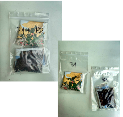 Korrekte Probenahme Asbest